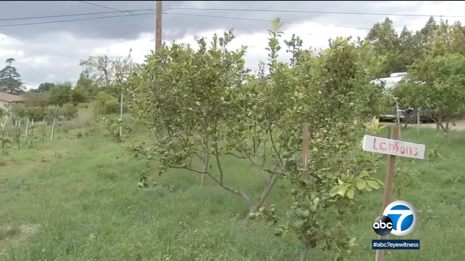 SoCal farmers fear rain water won't be stored to offset dry years after losing billions in 2022 - Vimarsana News