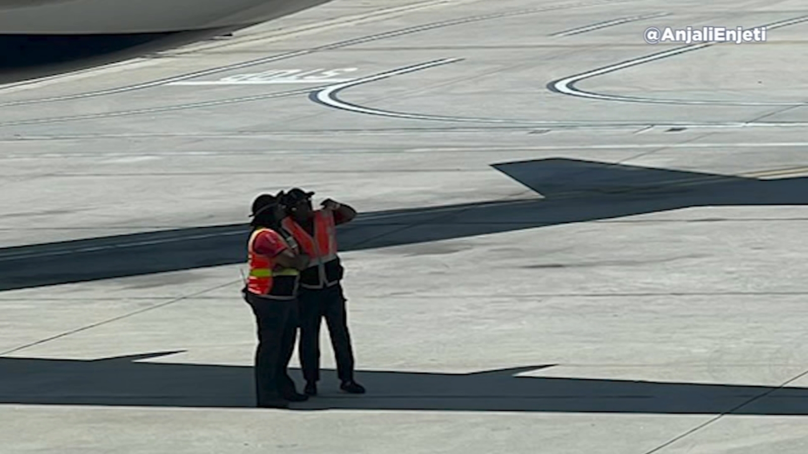 Swarm of bees causes 3hour flight delay for Houston passengers headed to Atlanta Swarm of bees causes 3hour flight delay for Houston passengers headed to Atlanta