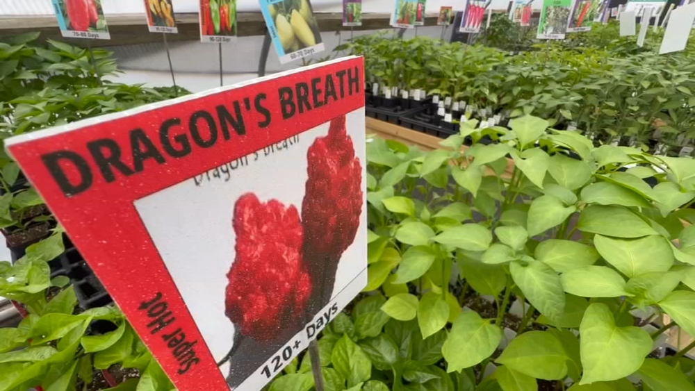 NJ is actually home to the world's largest chili pepper farm
