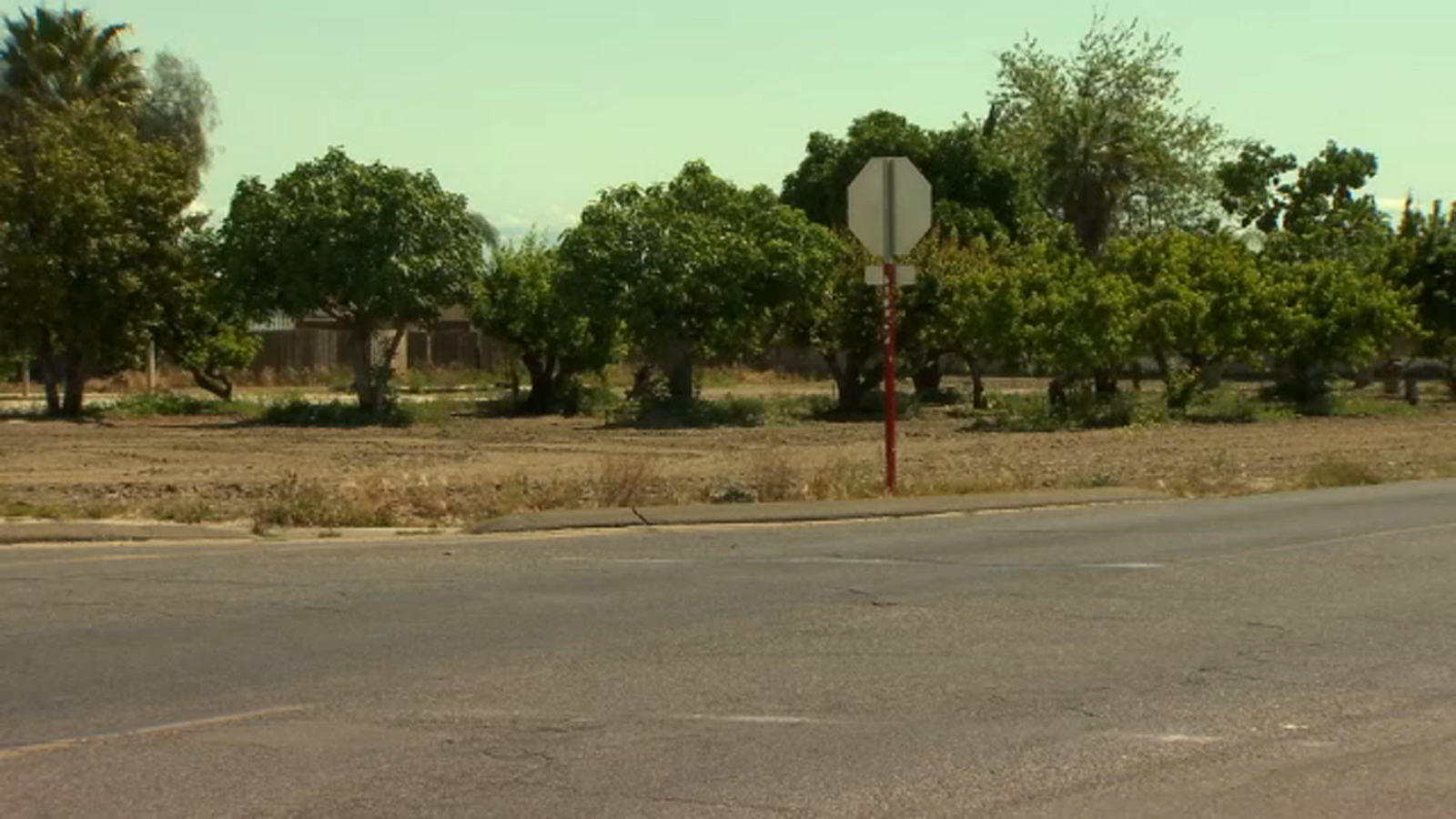 Man killed after crashing into semi-truck in Fresno County - ABC30 Fresno