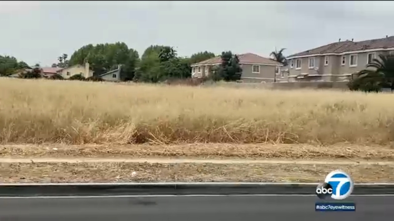 Rialto residents have fire concerns for areas of vacant land overgrown with weeds - Vimarsana News
