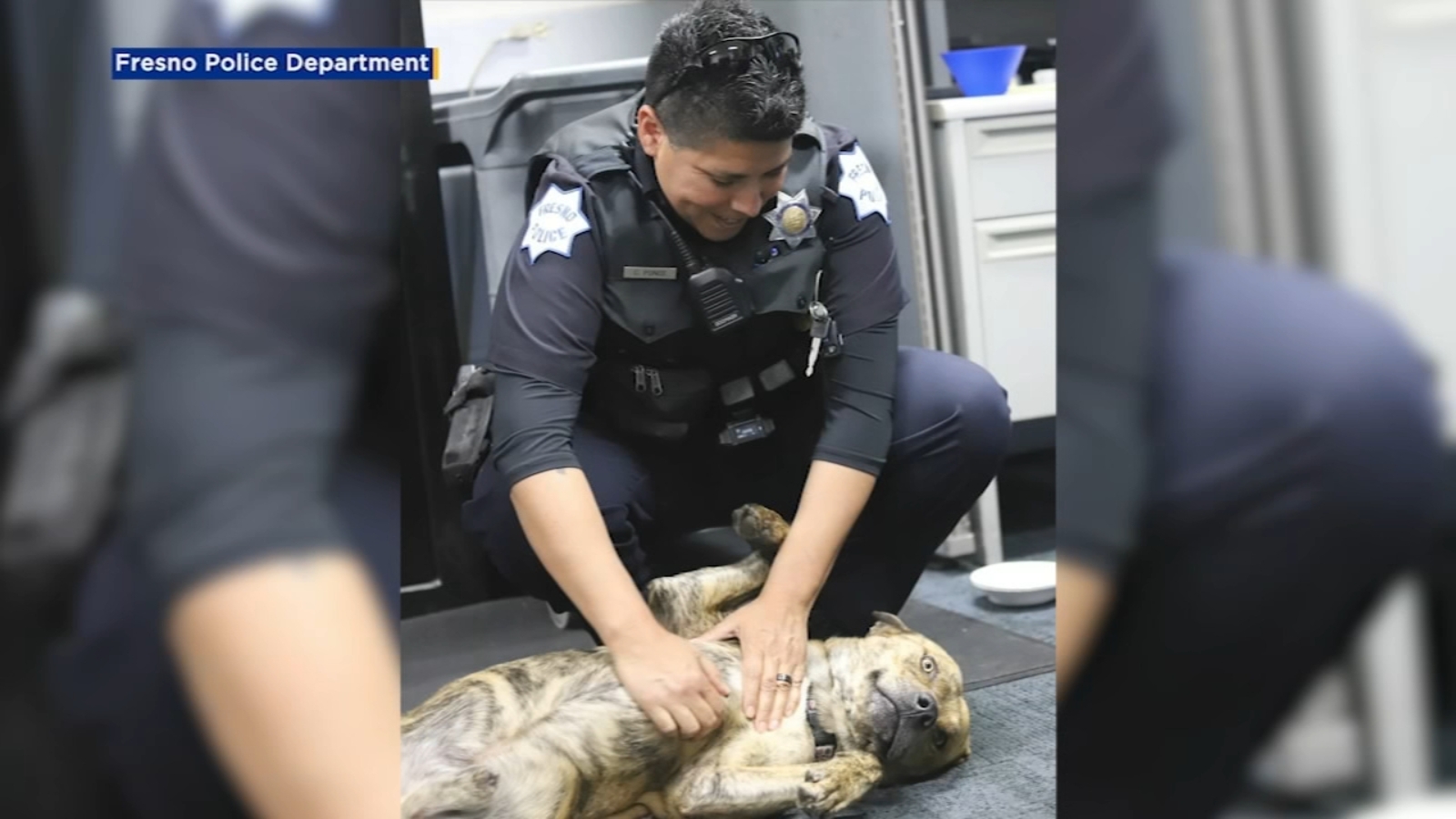 Officers rescue dog from canal bank in central Fresno, searching for