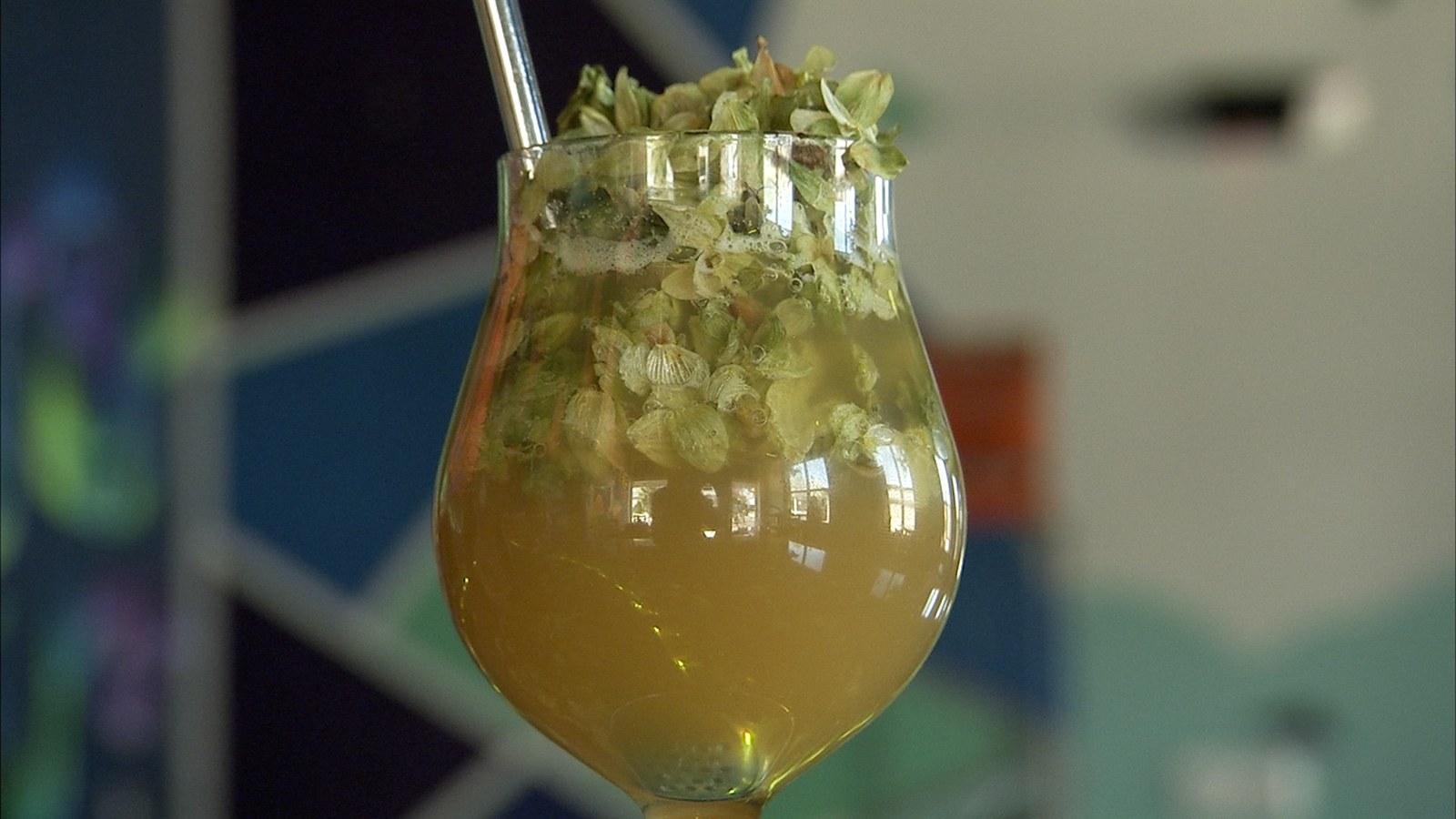 Mystic Ways Brewing in Pennsylvania is serving beer poured over hops