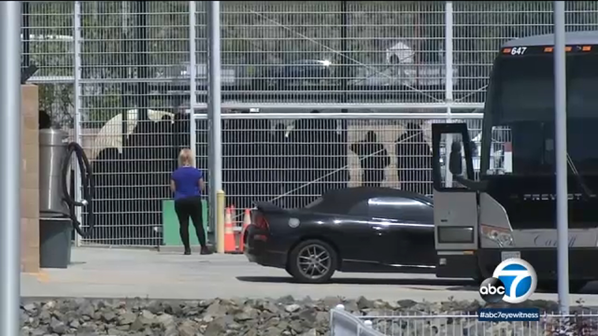 Asylum-seekers begin arriving in Riverside County after Title 42's end