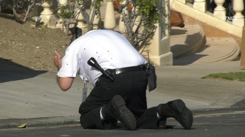 Swarming bees sting LAPD volunteer in Encino neighborhood