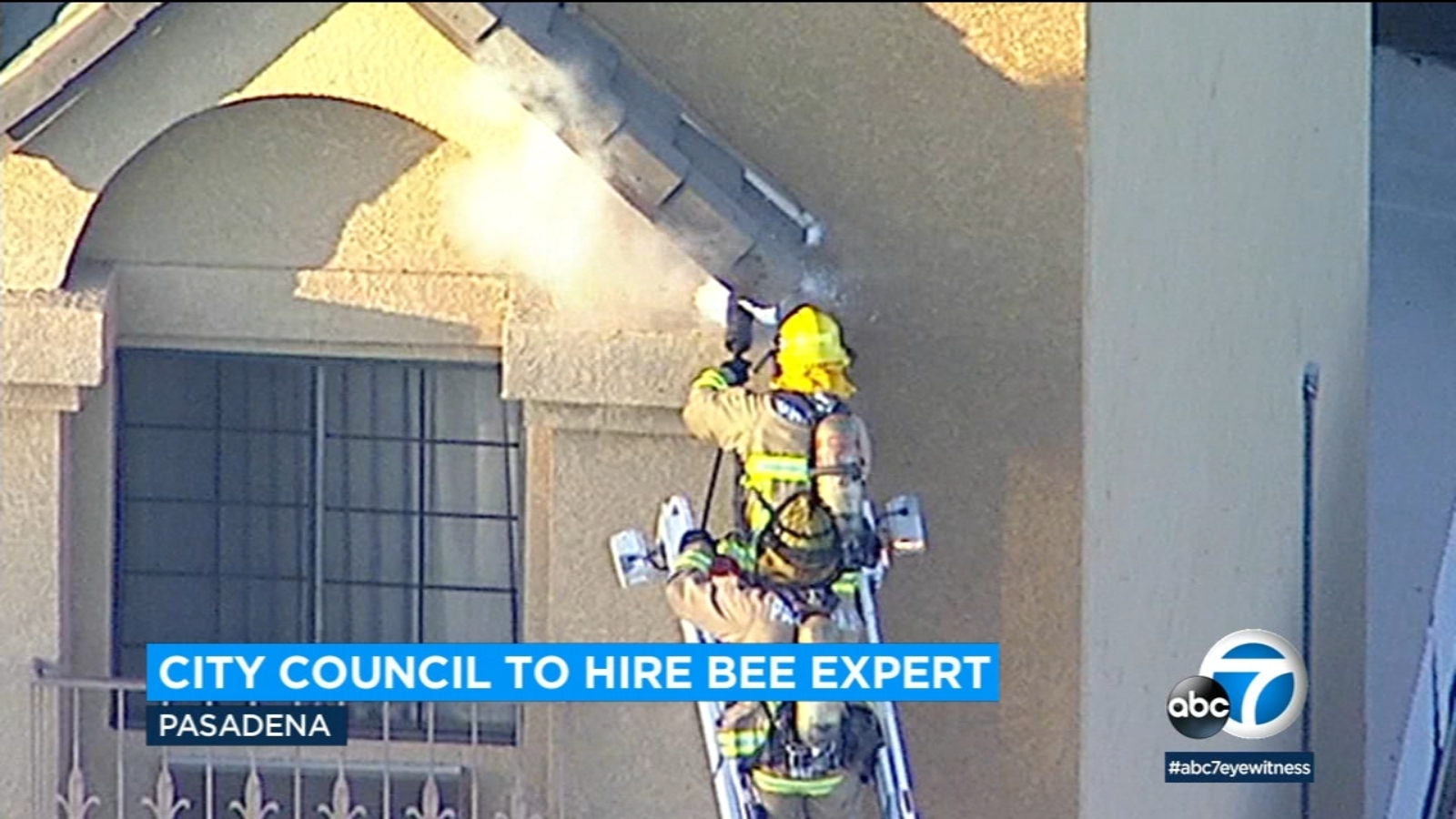 Bee swarm Pasadena approves contract to have oncall bee removal expert after recent swarms