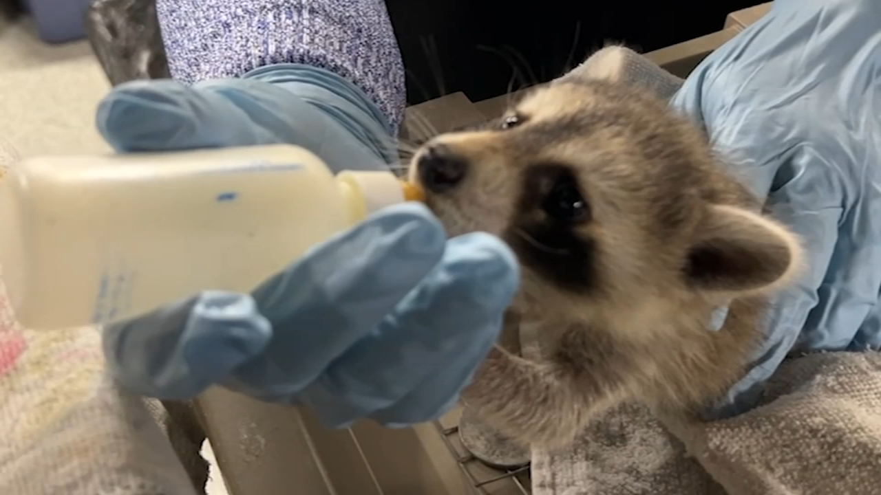 Refuge works to preserve local wildlife in New Jersey