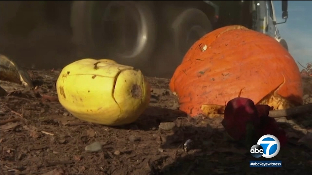 How one group combats food waste and gets it to people in need