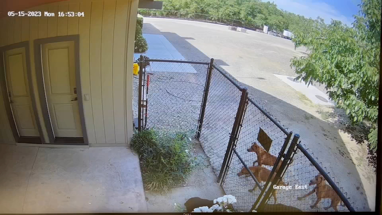 Action News Live at 630pm February 17, 2023 ABC30 Fresno