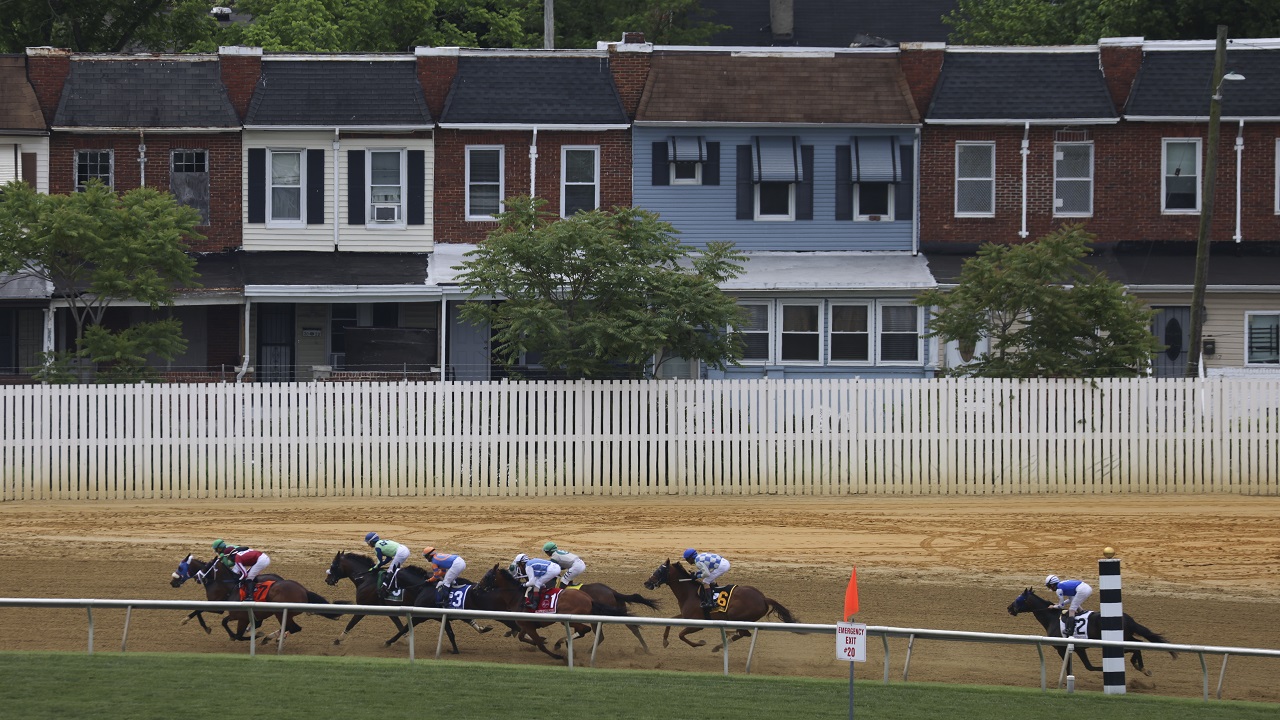 Hunt for poachers who killed rhino 6abc Philadelphia