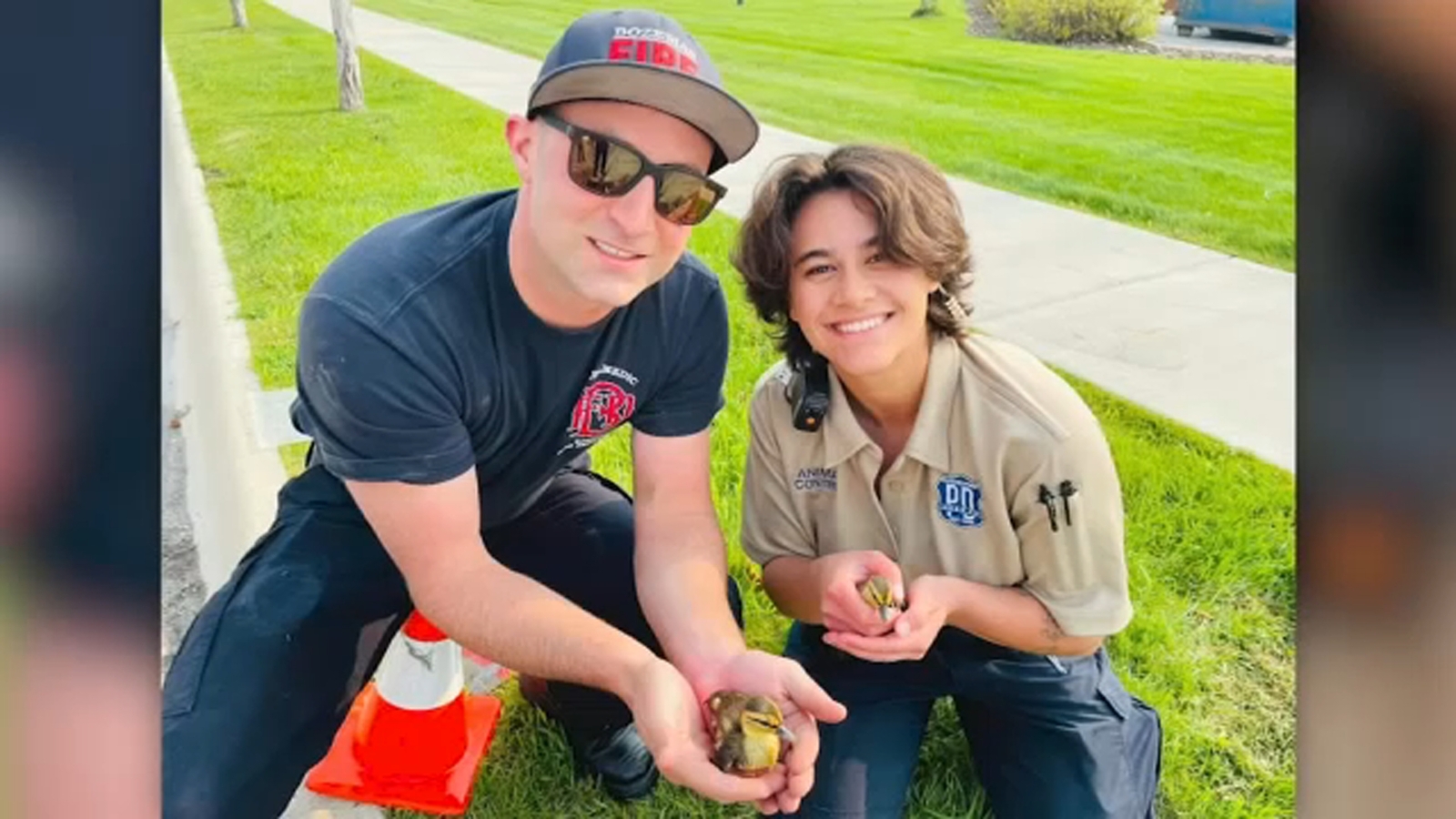 Montana firefighters rescue family of ducks from storm drain - Vimarsana News