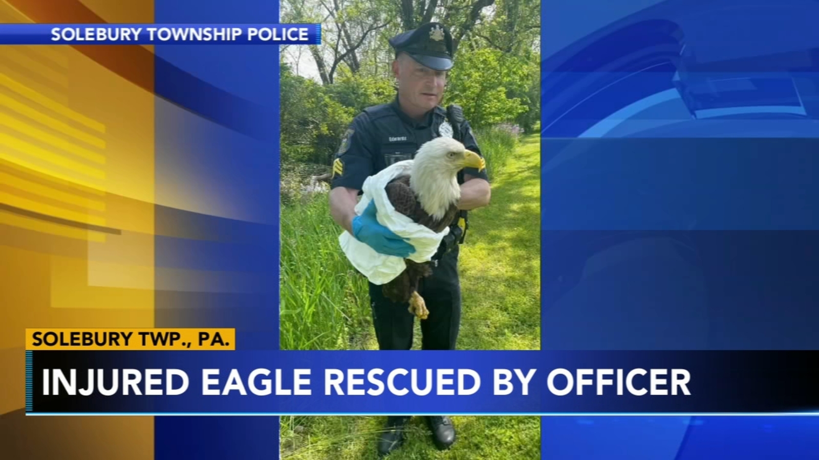 Officers help rescue injured bald eagle in Solebury Township Officers help rescue injured bald eagle in Solebury Township
