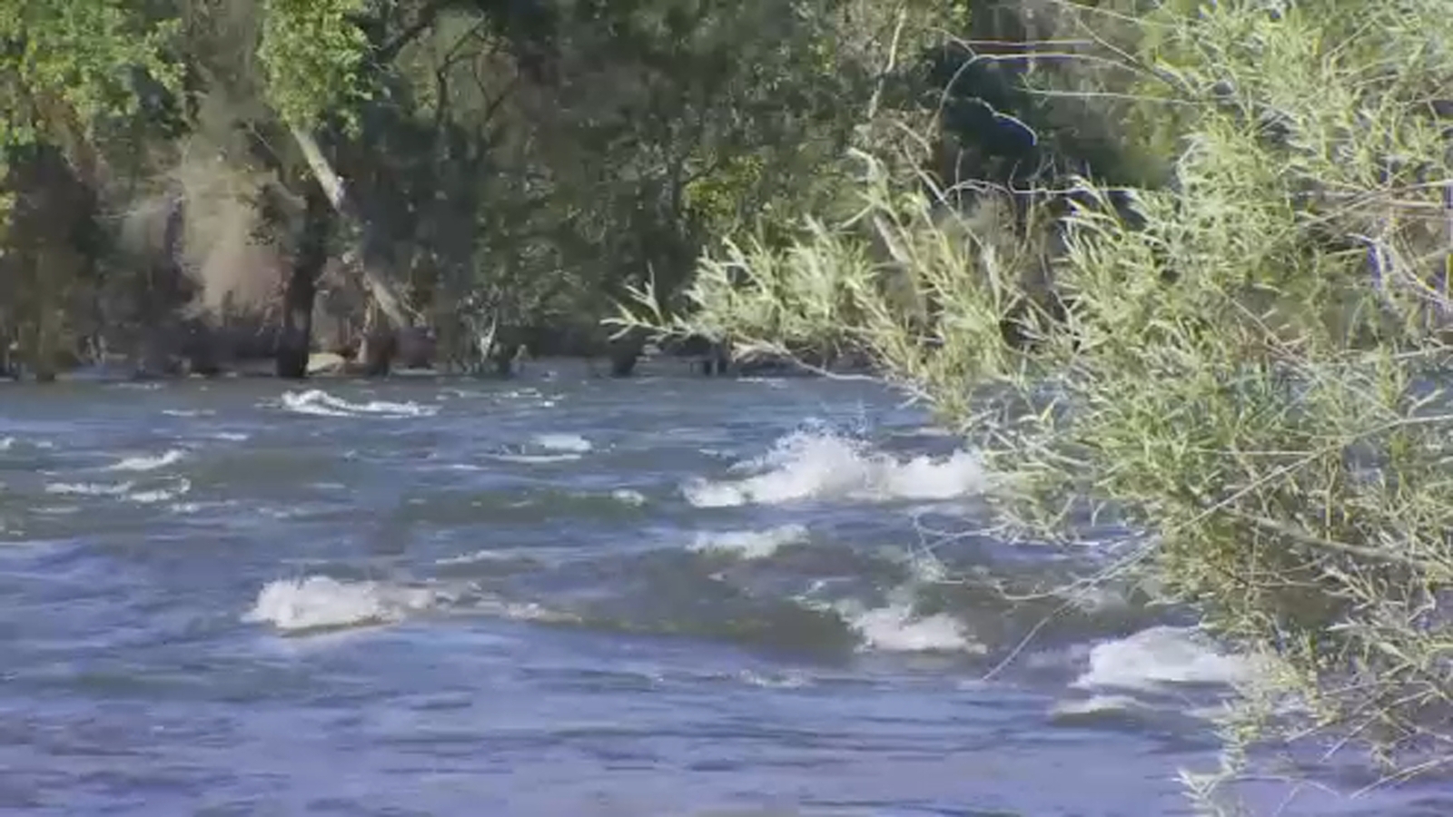 4-year-old and 8-year-old siblings who died after falling into Kings River identified - Vimarsana News