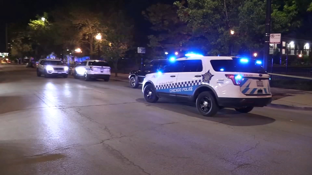 Northwestern student shot in Rogers Park: officials