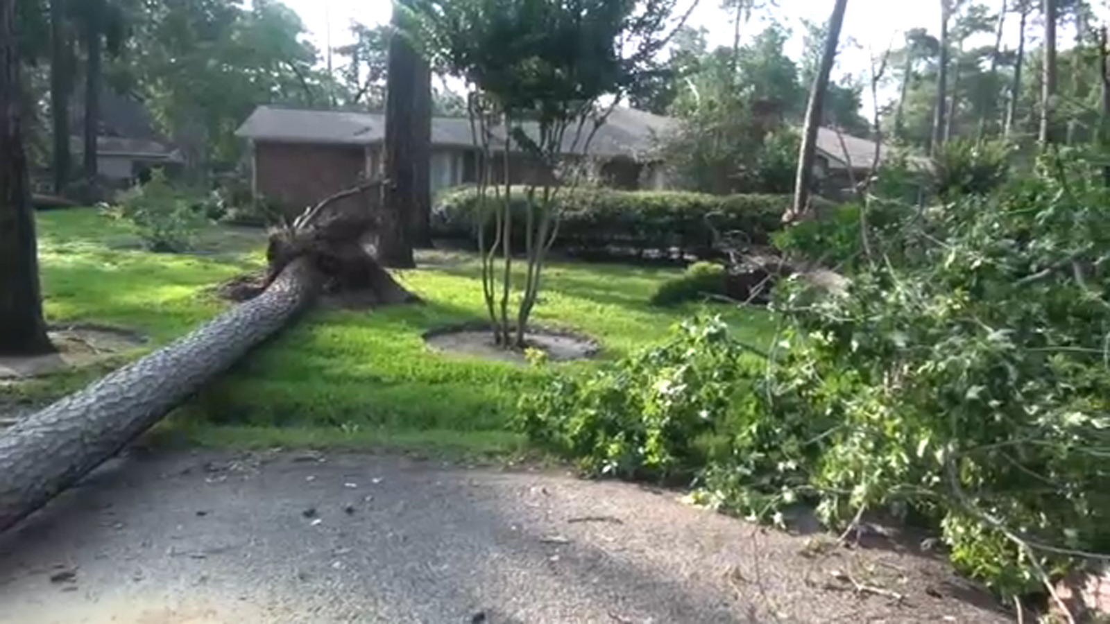 Montgomery County storm: Widespread power outages and damage prompt Willis ISD school closures - Vimarsana News