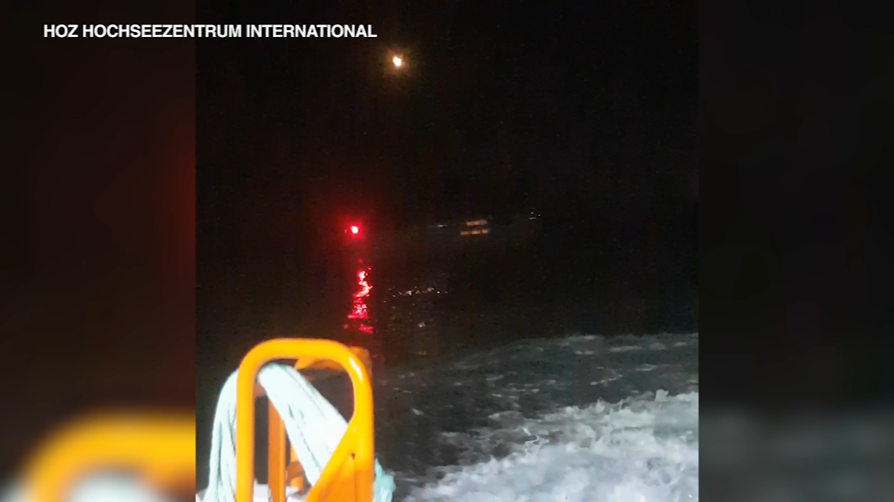 Orcas learn 'coordinated' attacks on sailboats, some observers say