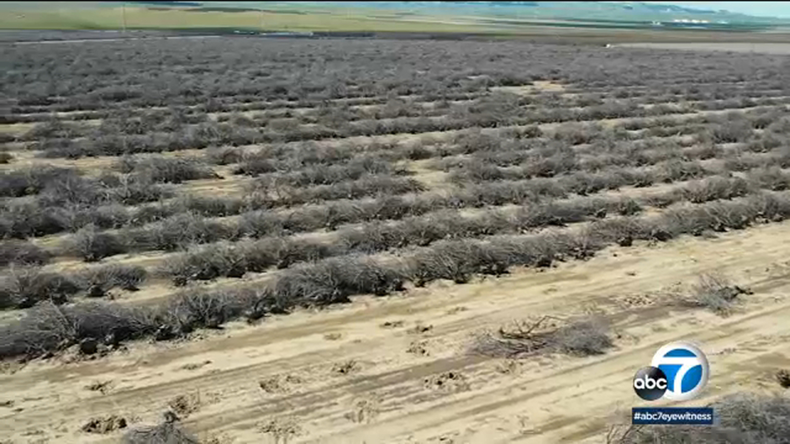 Coalinga water: California city hit hard by drought crisis remains concerned over water supply despite wet winter - Vimarsana News