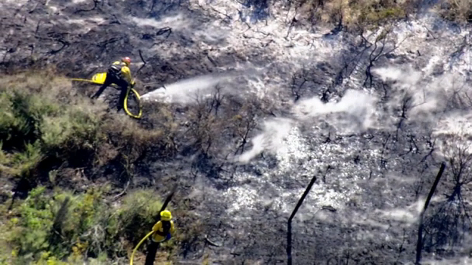 Crews battle blaze near Northbound 280 and Highway 92 in San Mateo Co., CHP says - Vimarsana News