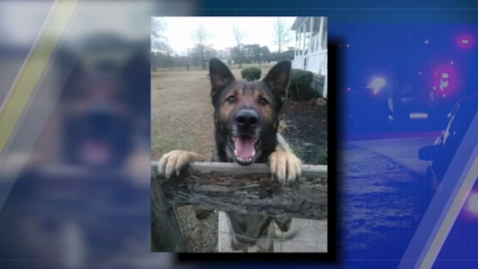 K9 deputy killed NC Wake County Sheriff's Office K9 Santos shot