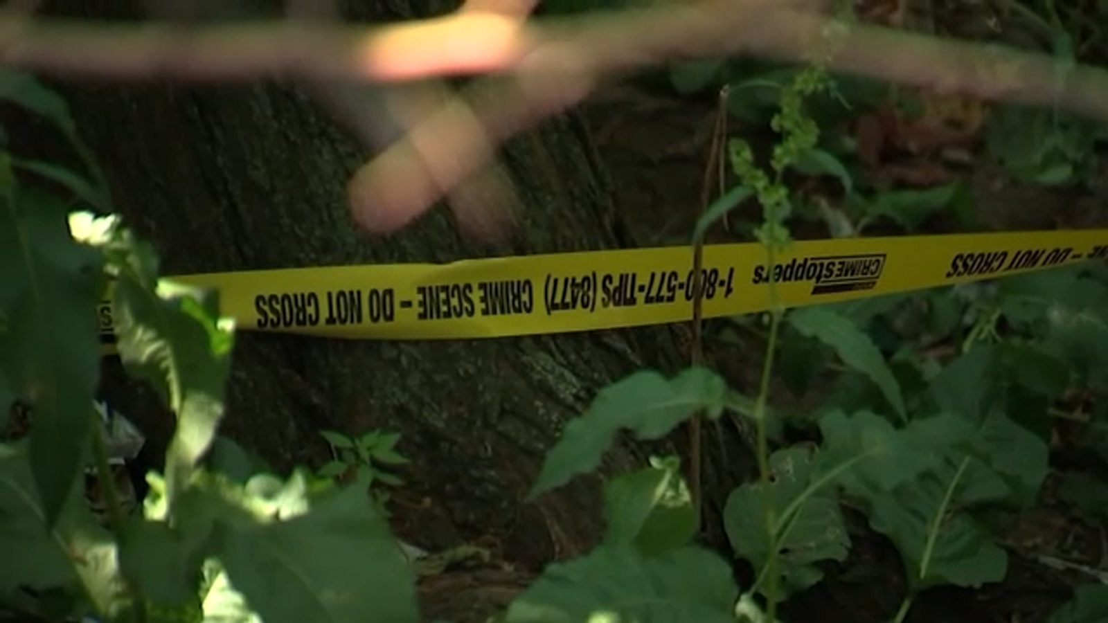 3-month-old living in Highbridge homeless shelter found dead in woods near Major Deegan Expressway - Vimarsana News
