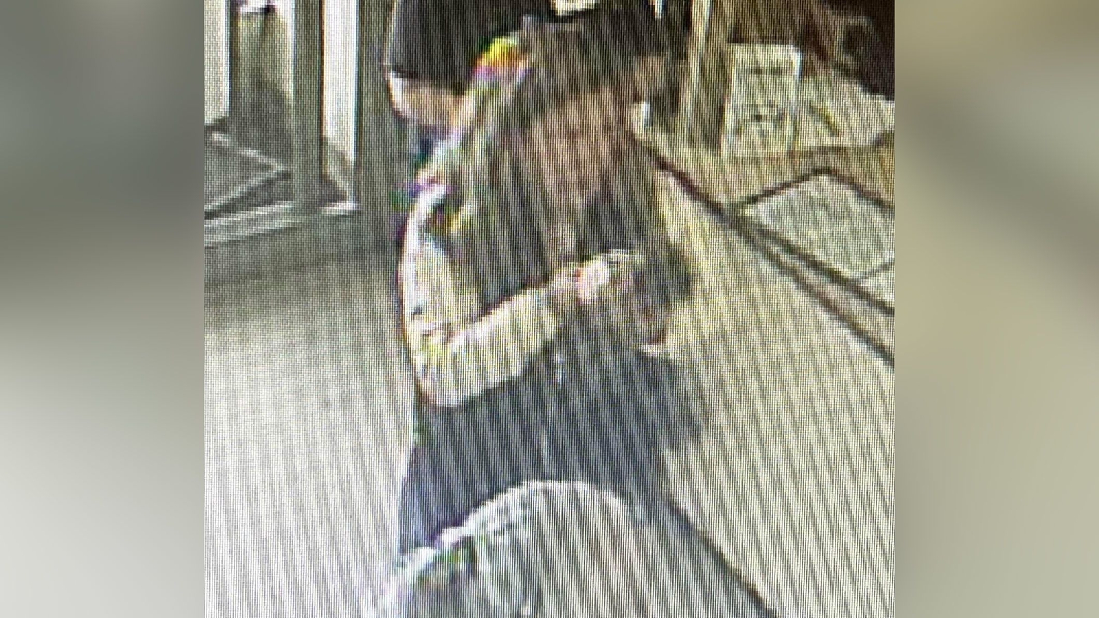 Pet raccoon euthanized, tested for rabies after customers kiss it in Auburn, Maine pet store - Vimarsana News