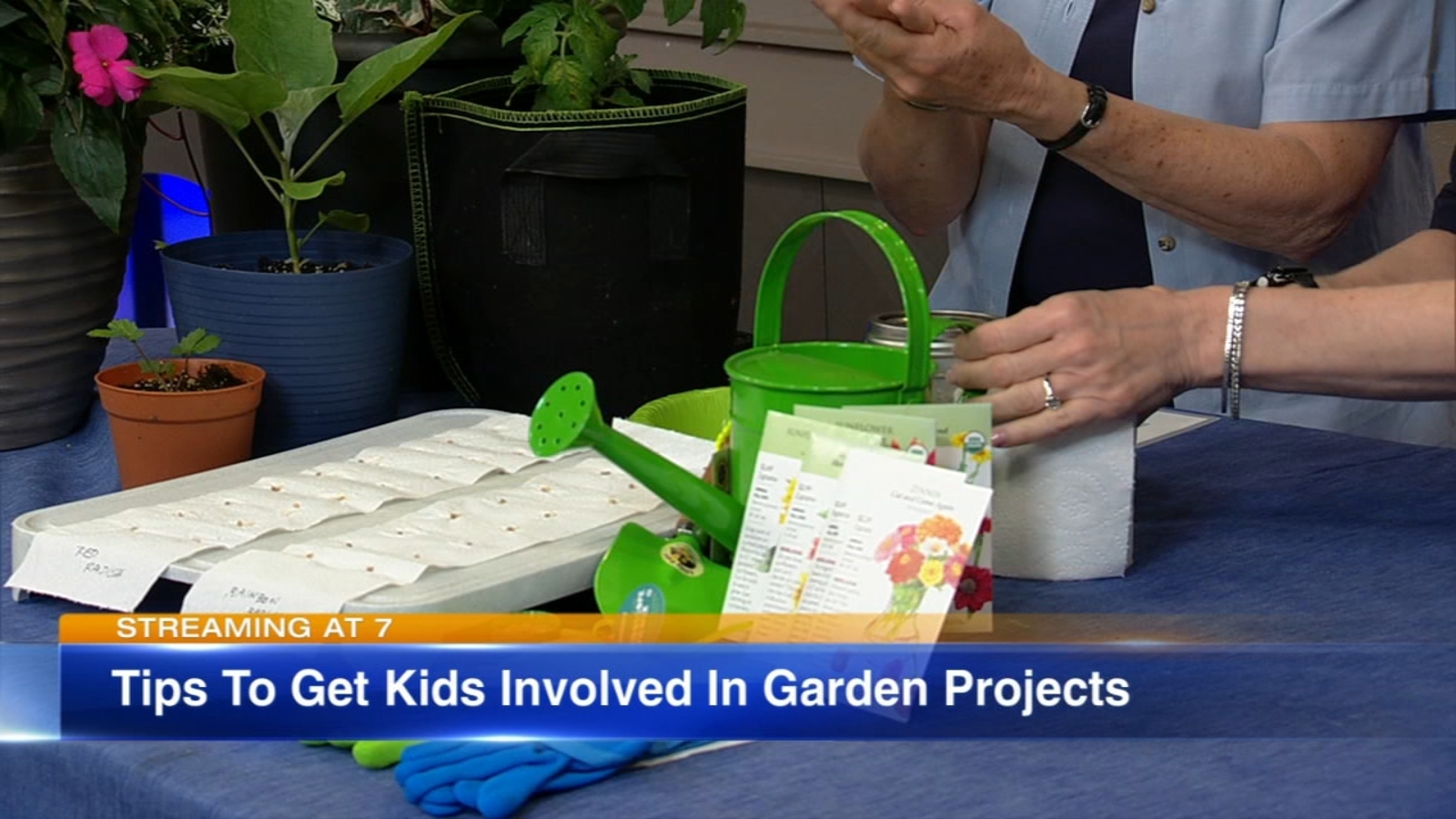 Local planting experts offers garden secrets ahead of the best month to plant - Vimarsana News
