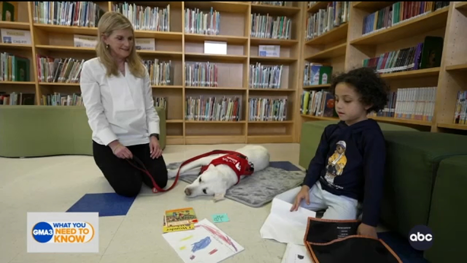Therapy dogs encourage New York City elementary school students to read with adorable program - Vimarsana News