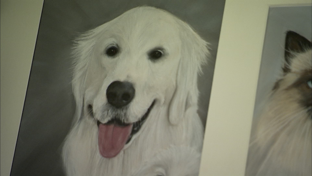 Local artist fulfills creative passion with hand-drawn pet portraits