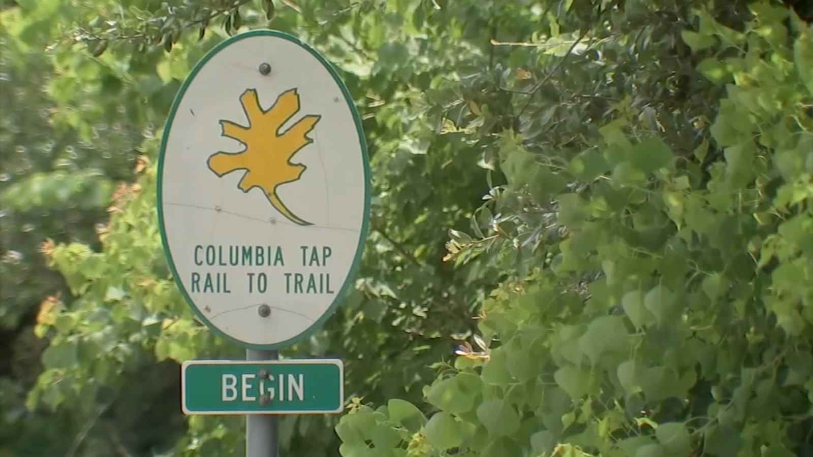 Bike trail connecting EaDo and Third Ward shines with new lights