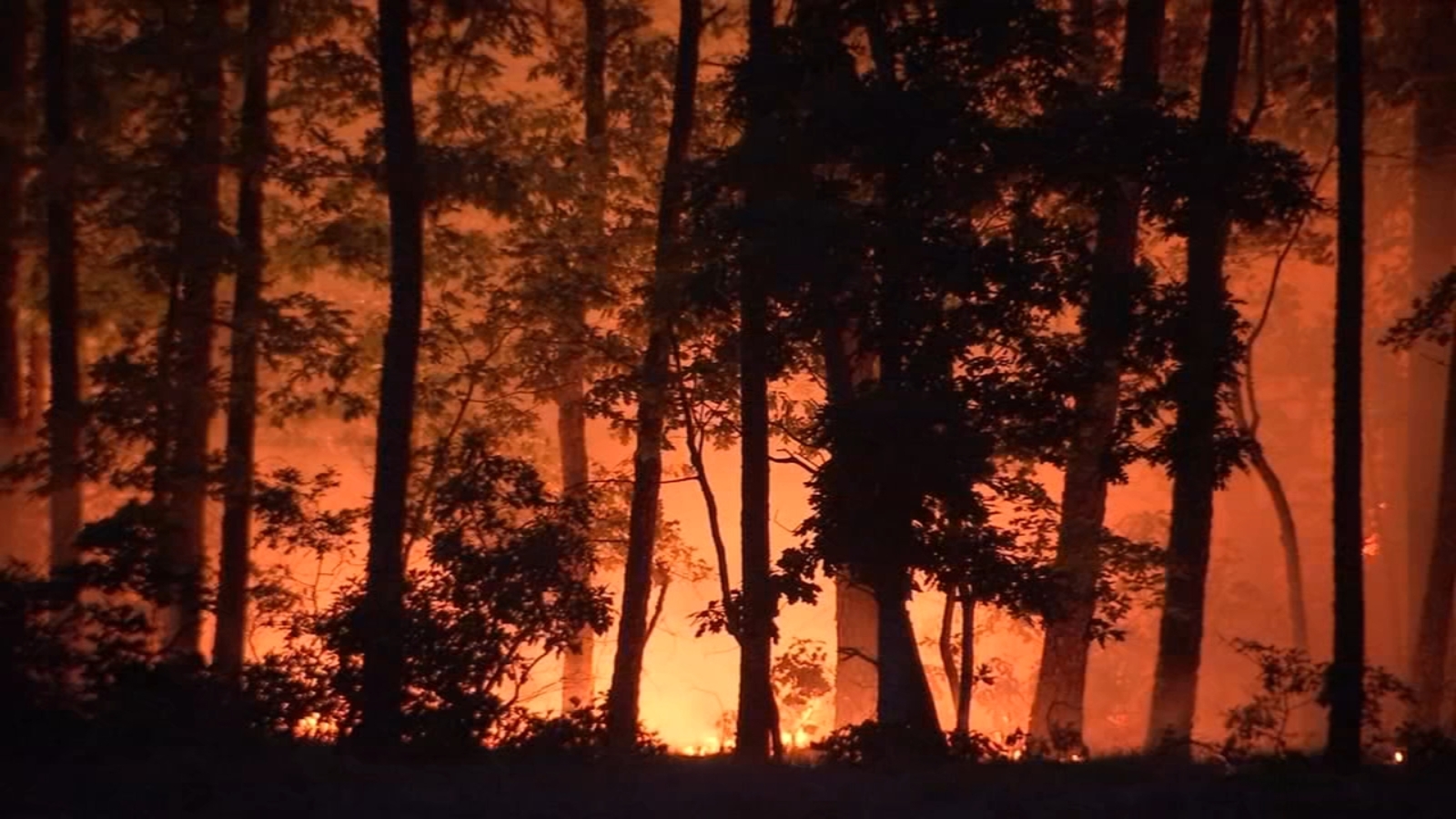 NJ Forest Service Jackson Twp wildfire now 70 contained 15 structures threatened