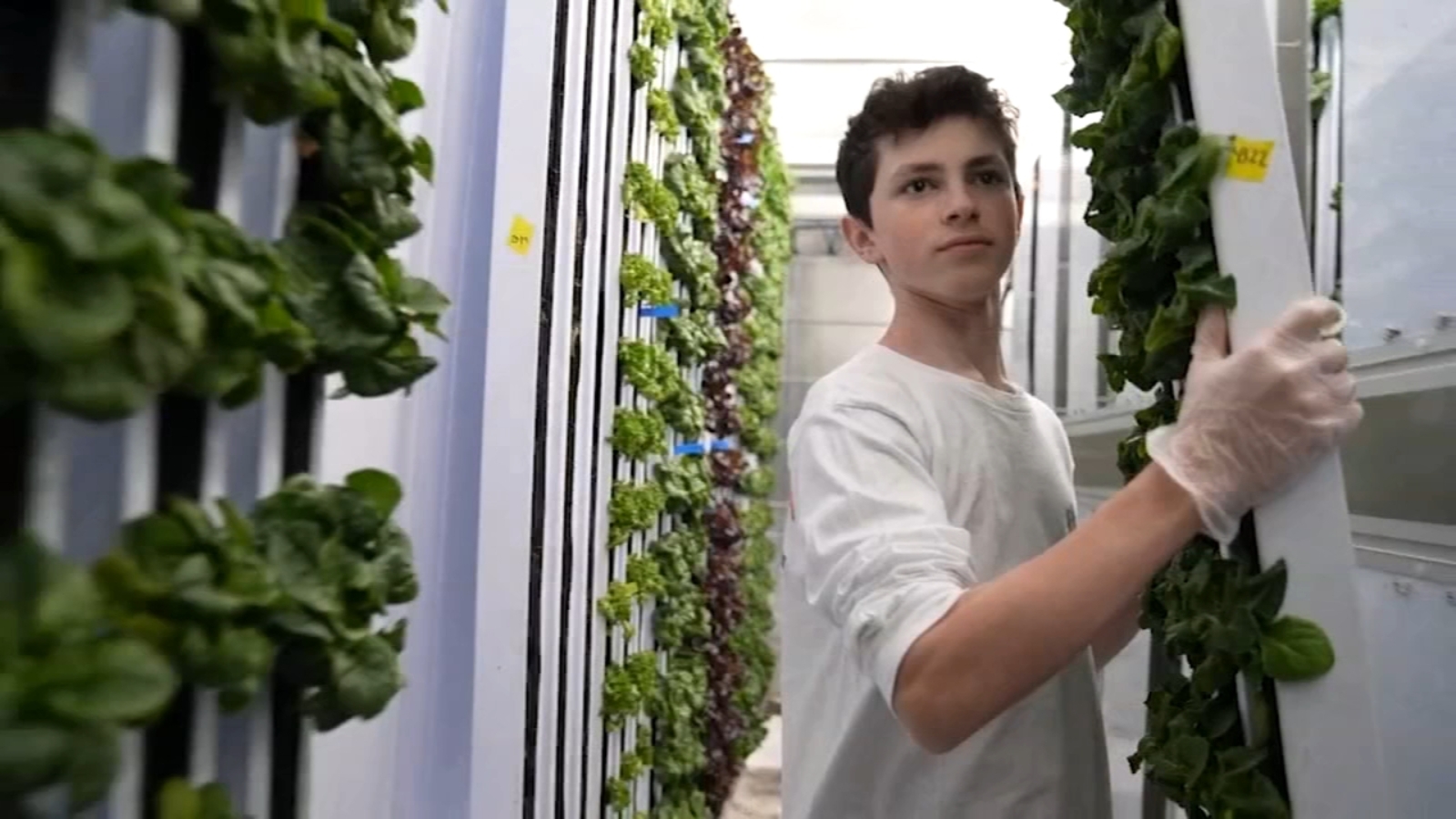 Methacton High School students learn valuable skills from hydroponic farm - Vimarsana News