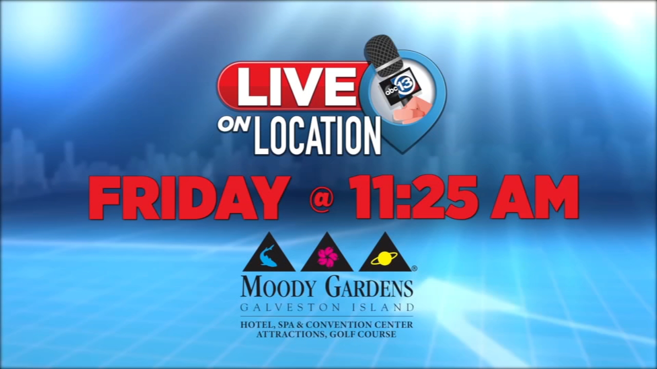 Live On Location with Moody Gardens! Full of family fun locate in Galveston, TX. See what's new this summer - Vimarsana News