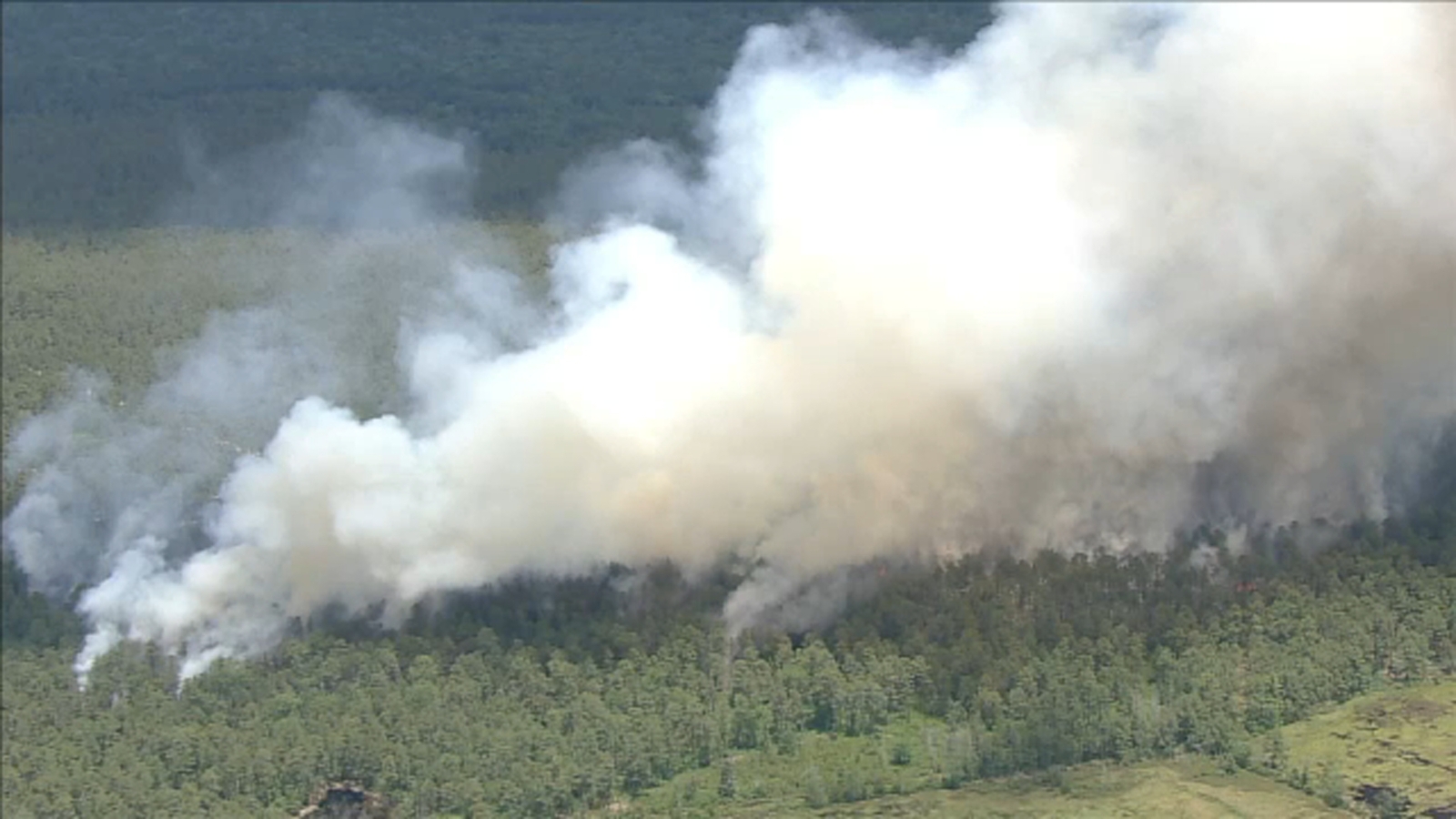 Wildfire burning in Browns Mills, New Jersey - Vimarsana News