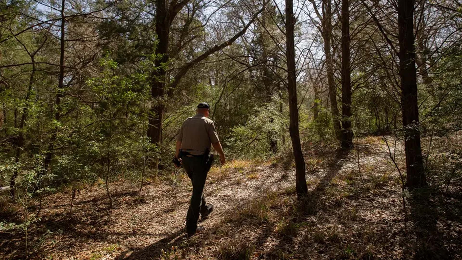Fairfield Lake State Park closing: Texas Parks and Wildlife Department opts for eminent domain to save popular nature reserve - Vimarsana News