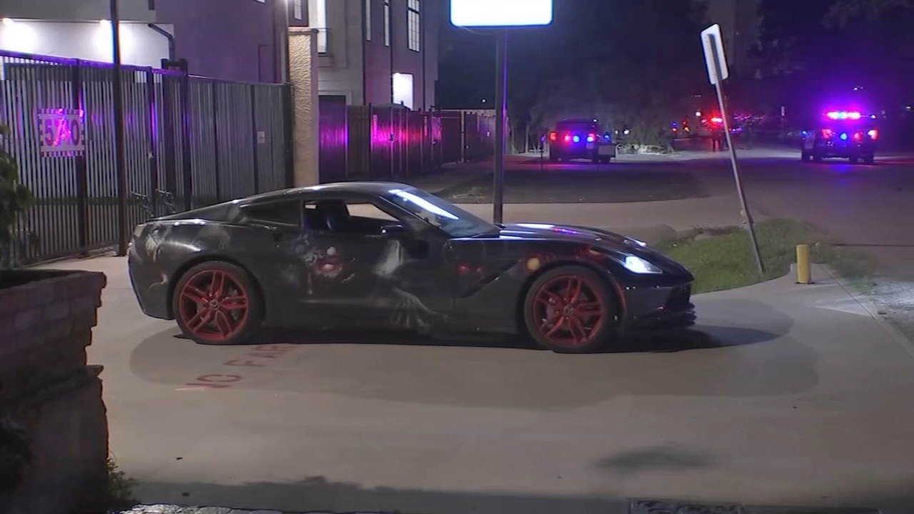 Man fatally shot during fight near W. Houston block party, HPD says