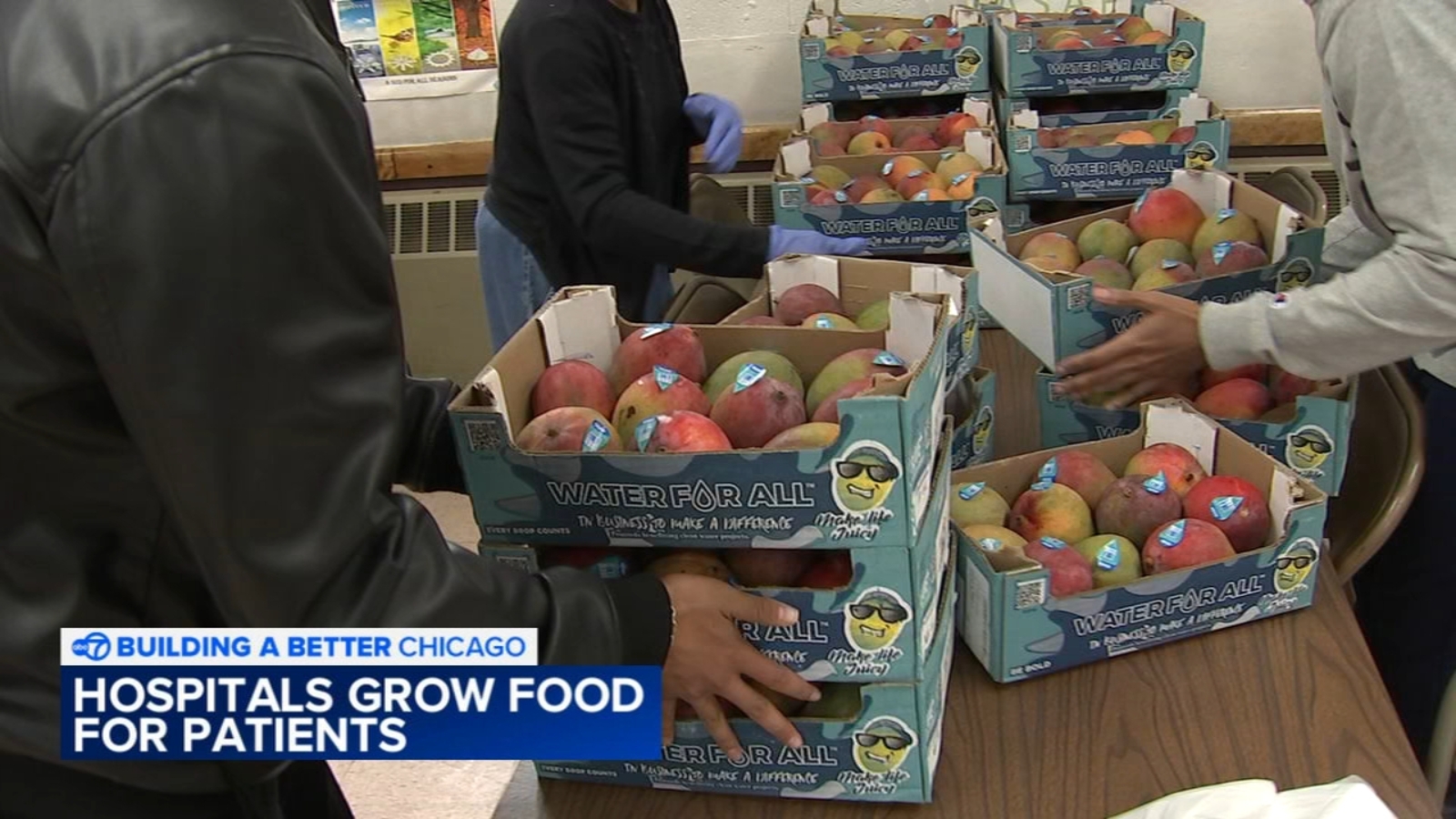 Advocate Health Care fights food insecurity grows produce for patients on South Side