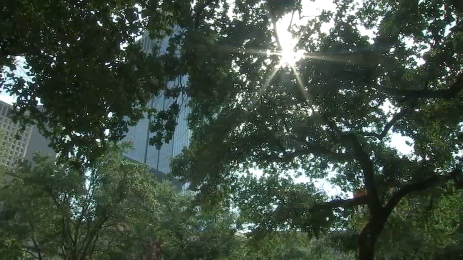 Houston weather: Residents in the city take advantage of cooling centers throughout Harris County - Vimarsana News