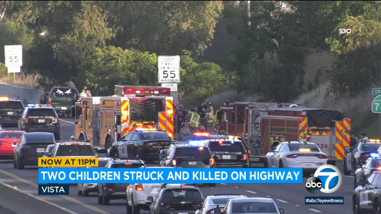 2 children die after running into traffic on freeway near San Diego