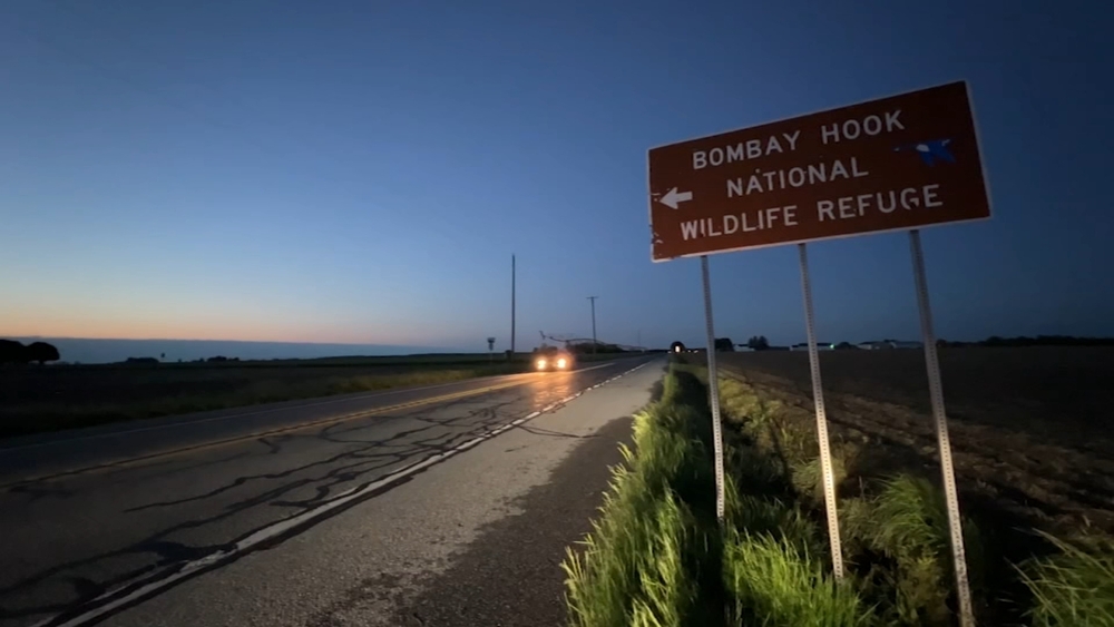 Wildlife refuge in Del. is home to a variety of migratory birds