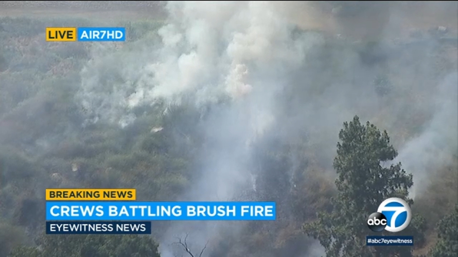 Small brush fire erupts at homeless encampment in Hansen Dam - Vimarsana News