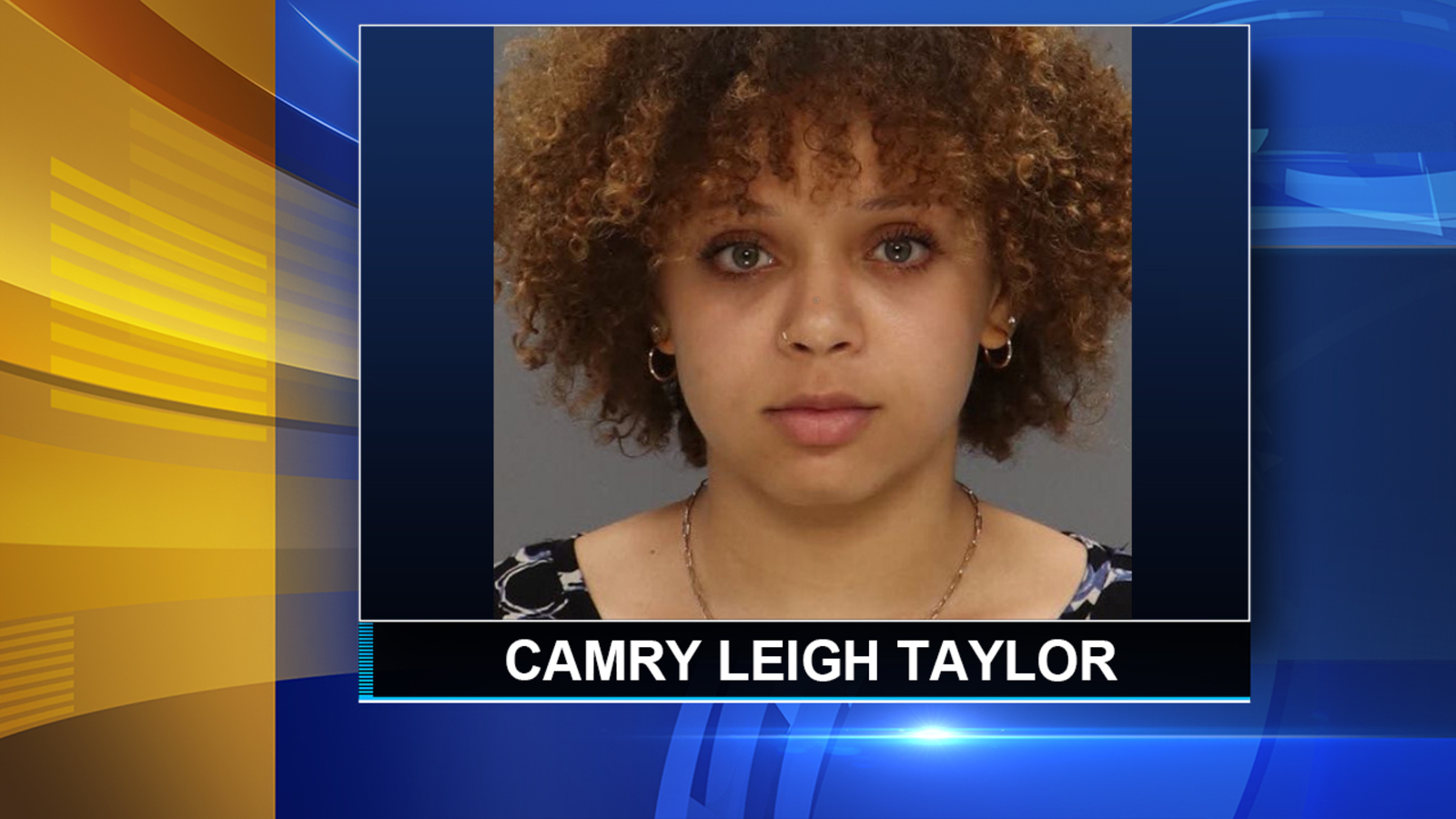Bucks County Babysitter Charged: 19-year-old Camry Leigh Taylor of Quakertown arrested after child reports sexual abuse - Vimarsana News