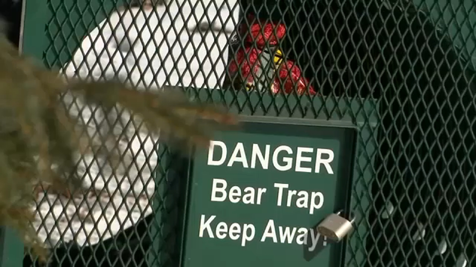 New Jersey park closed to visitors due to uptick in black bear encounters, aggressive behavior - Vimarsana News