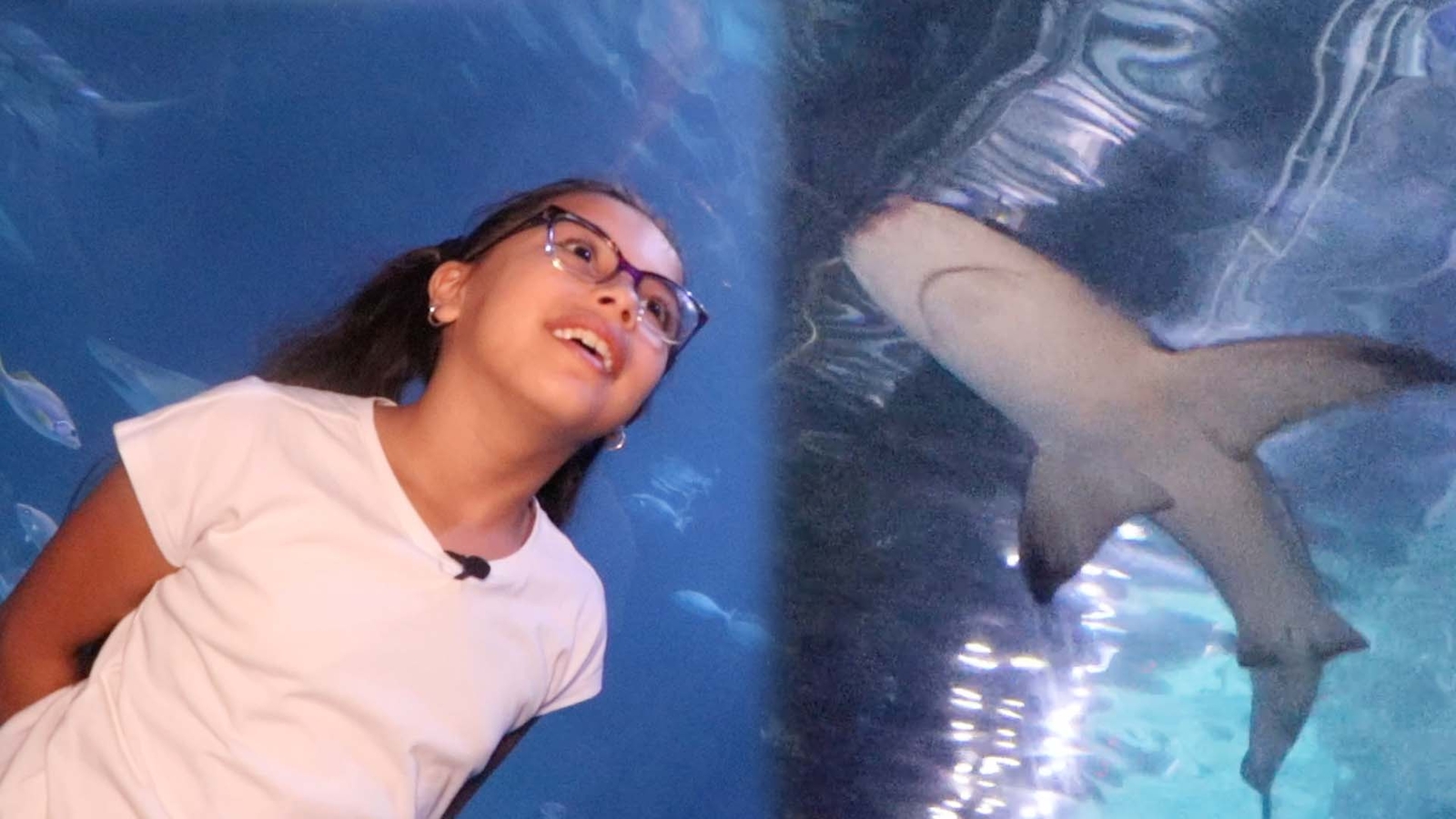 Pa. cyber school students dive into marine biology camp at Adventure Aquarium - Vimarsana News