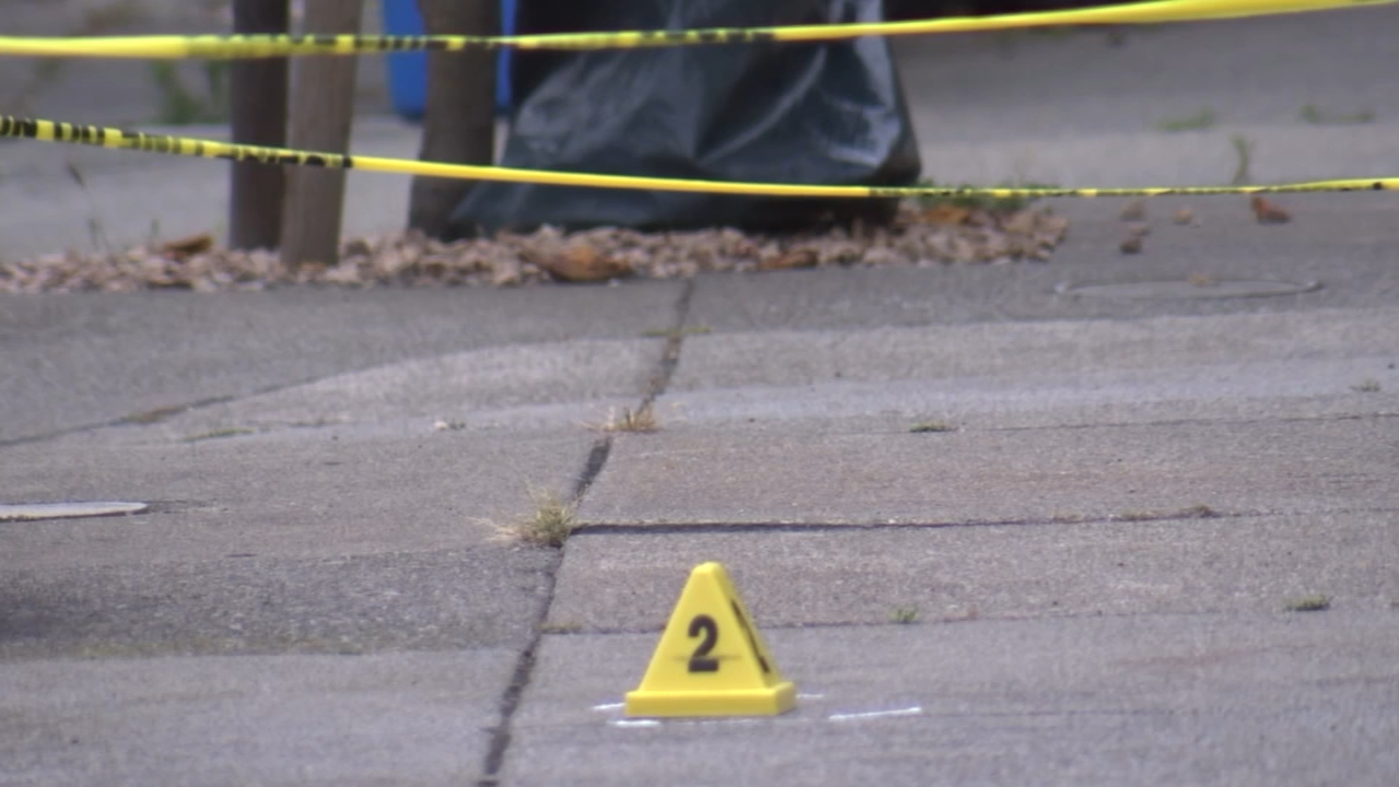 Man fatally shot by SFPD after allegedly killing his mom: Police