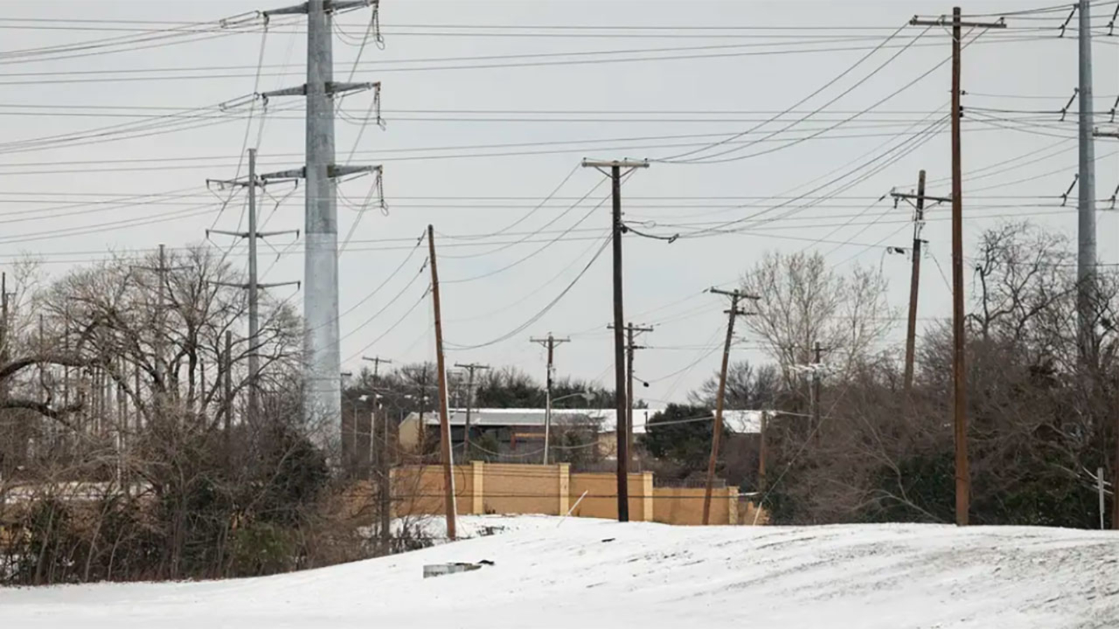 What is sovereign immunity? Texas Supreme Court ruling sides with ERCOT over whether power grid can be sued over 2021 winter storm - Vimarsana News