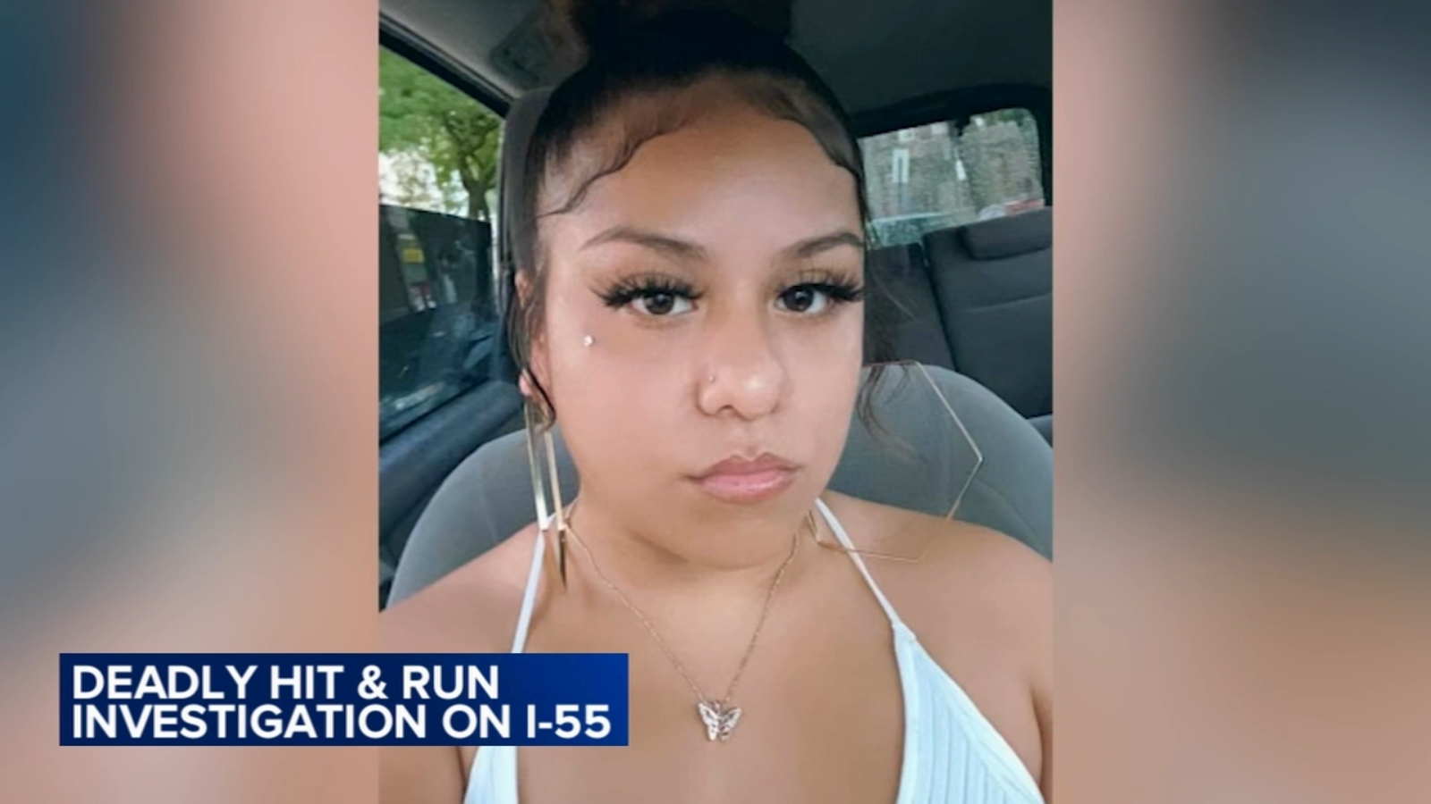 Bolingbrook accident on I55 today Bolingbrook hit and run kills Perla Andrade; another