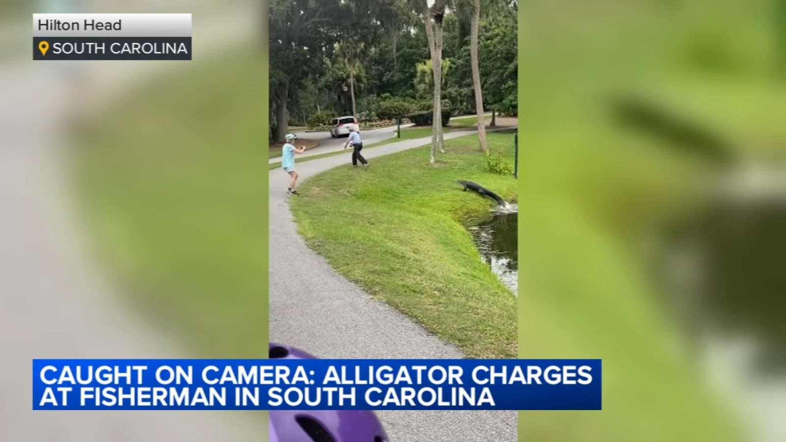 South Carolina Woman Dies After Alligator Attack Near Golf Course 