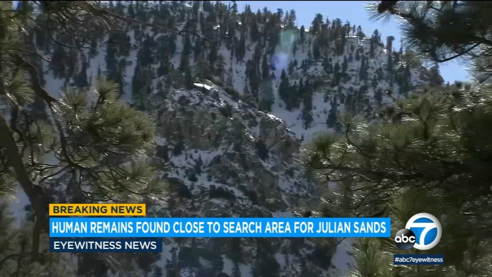 Hikers find human remains close to search area for missing actor Julian Sands on Mt Baldy