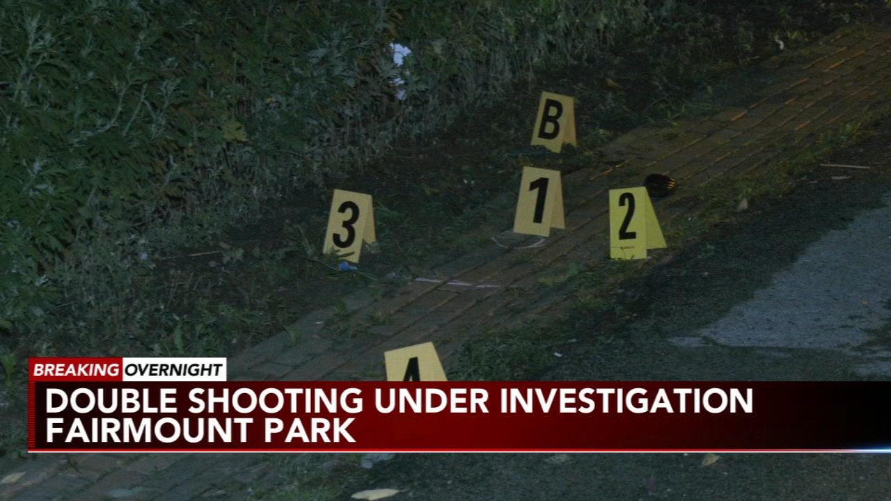 2 shot at large gathering in Fairmount Park