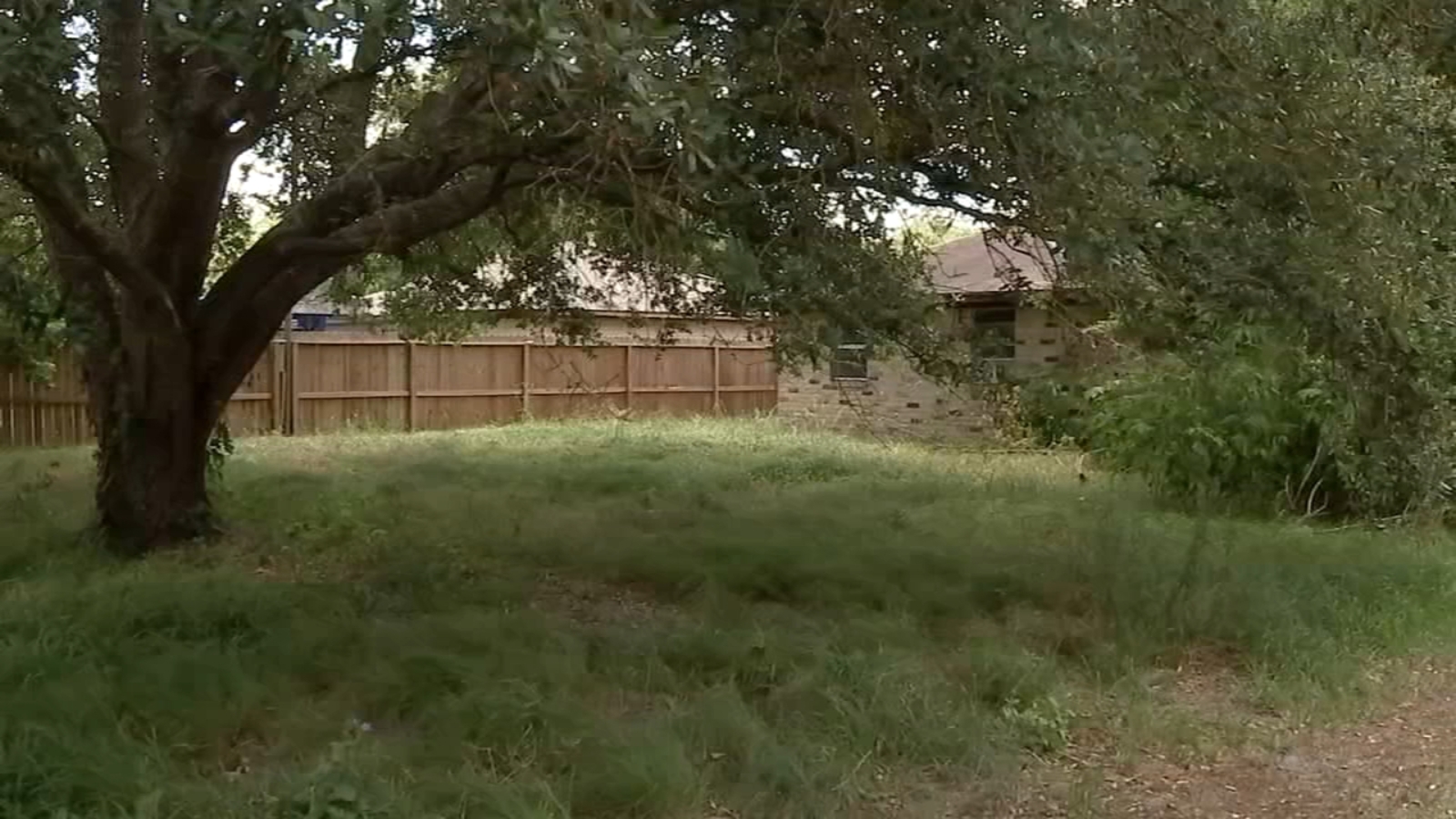 Texas land rights: Unkept property in Needville attracts unwanted wildlife, creating eye wore, Fort Bend County neighbor says - Vimarsana News